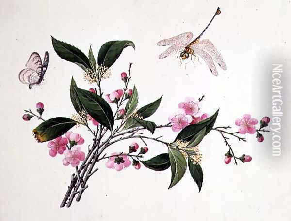 Cherry Blossom, Dragonfly and Butterfly Oil Painting - Anonymous Artist