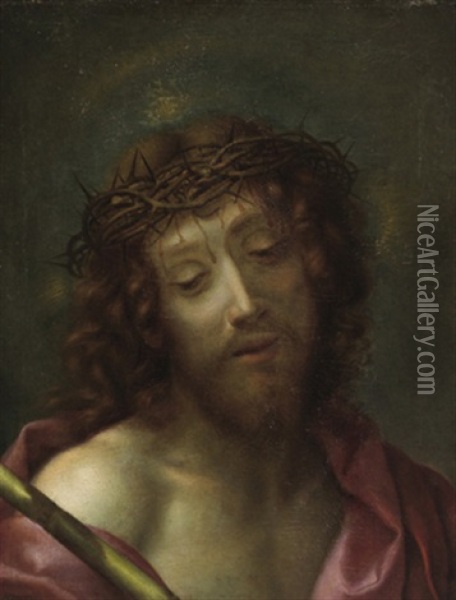 Das Haupt Christi Oil Painting - Onorio Marinari