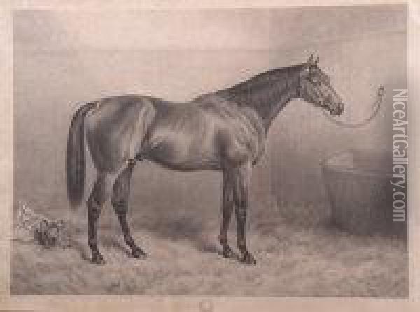 Portrait Of A Racehorse In A Stable Oil Painting - Frank Paton