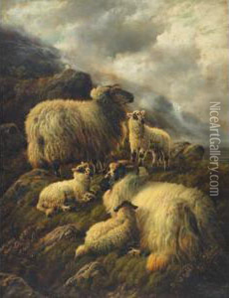 Highland Sheep Family Oil Painting - Robert Watson