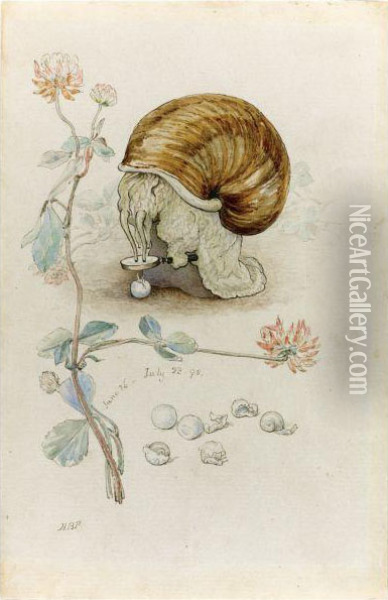 A Snail And Its Young Oil Painting - Helen Beatrix Potter