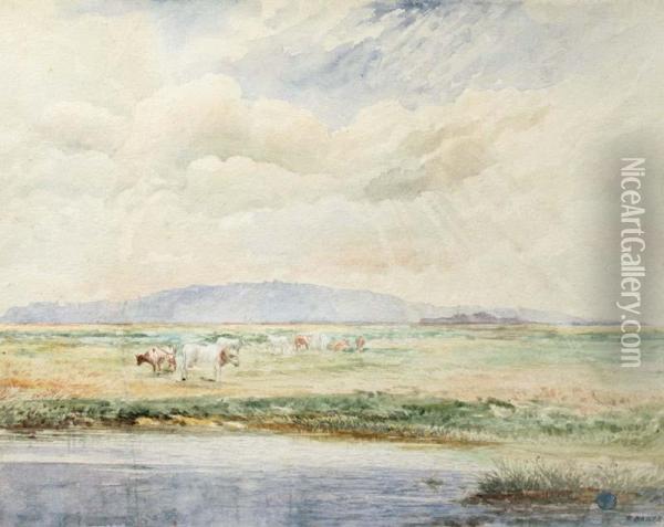 Landscape With Cows Oil Painting - T Baker