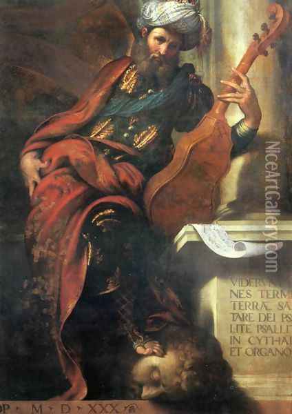 The Prophet David Oil Painting - Camillo Boccaccino