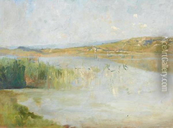 Lac De Neuchatel Oil Painting - Auguste Bachelin