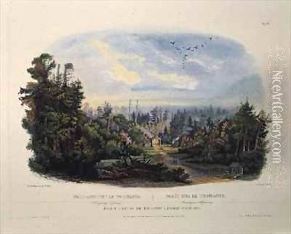 Forest Scene on the Tobihanna, Alleghany Mountains Oil Painting - Karl Bodmer