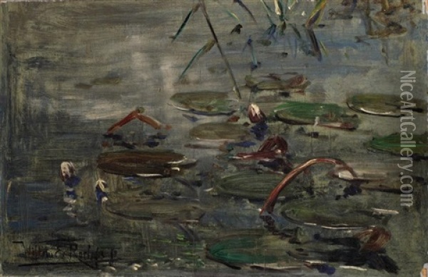Waterlillies Oil Painting - Willem Elisa Roelofs