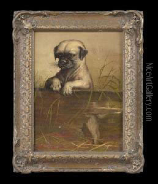 Puppy No. 9 Oil Painting - Adelaide Paris Spang