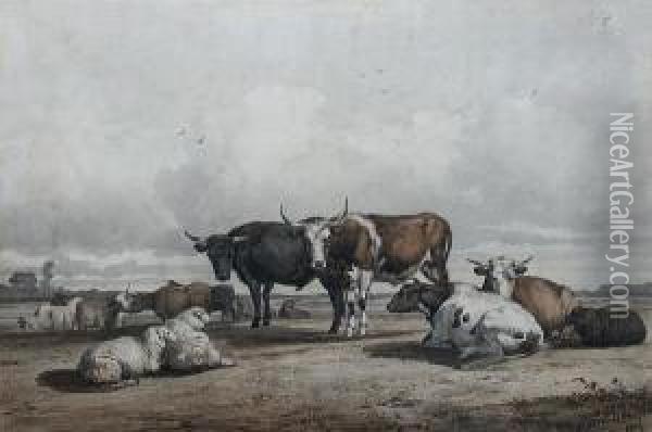 Cattle And Sheep In A Meadow Oil Painting - Pieter Stortenbeker