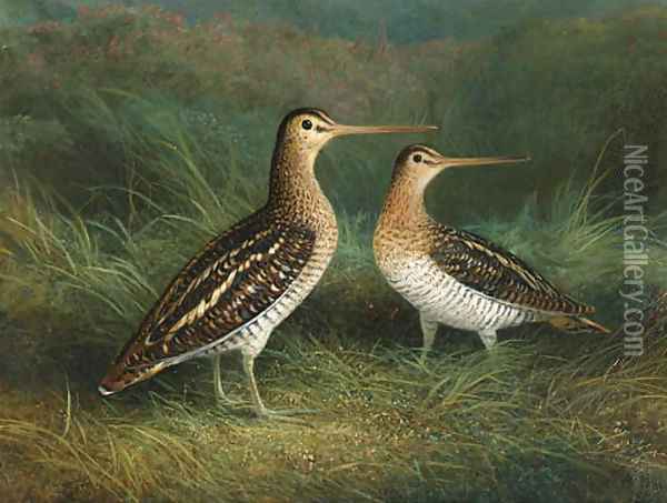 A Pair of Snipe Oil Painting - Abel Hold