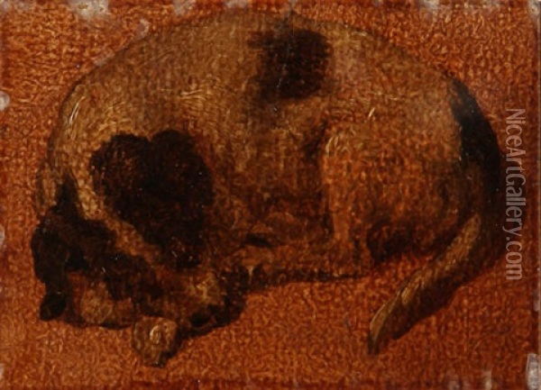 Sleeping Dog Oil Painting - Jan Dasveldt