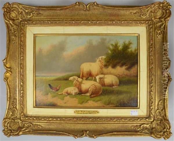 Moutons Oil Painting - Joseph Van Dieghem