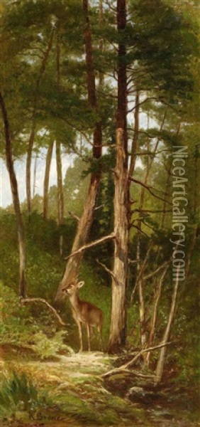 Waldlandschaft Mit Einem Reh Oil Painting - Karl Bodmer