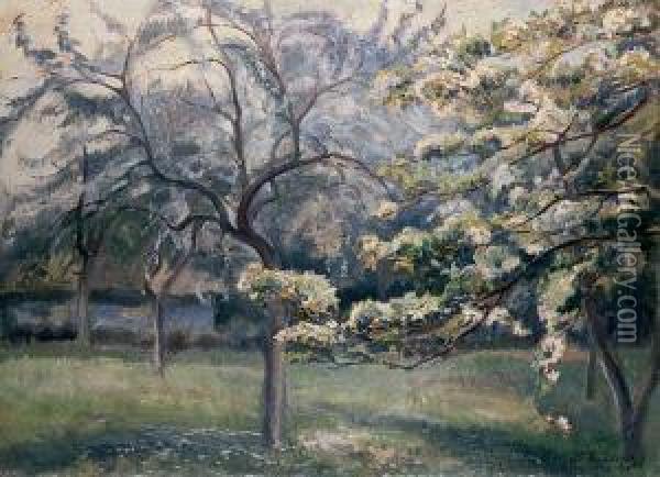 Wiosenny Sad, 1938 R. Oil Painting - Stanislaw Paciorek
