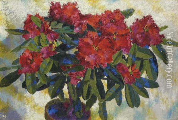 Rhododendron Oil Painting - Augusto Giacometti