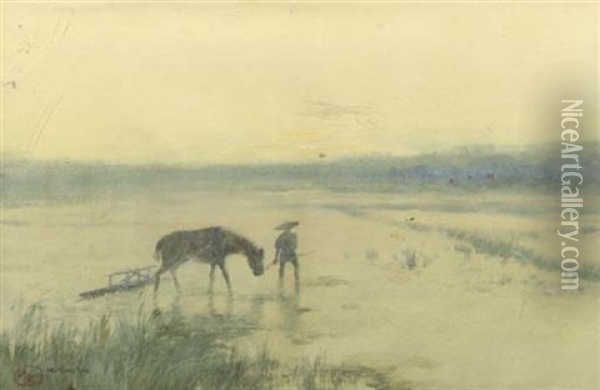 Peasant At Work In The Ricefields Oil Painting - Cornelis Robrecht Arthur (A.) Eland