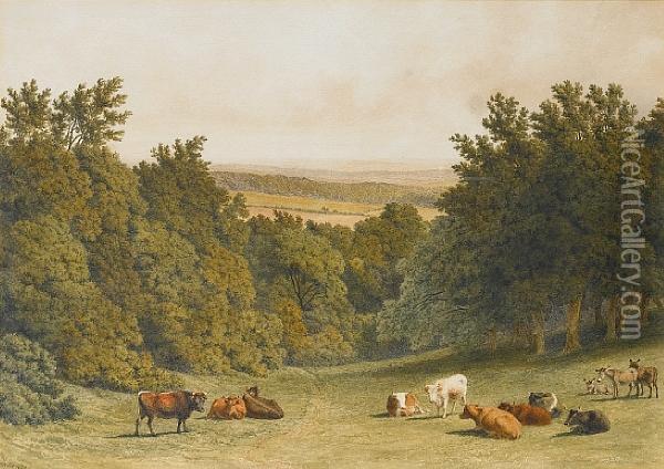 Near Box Hill, Surrey Oil Painting - Robert Hills