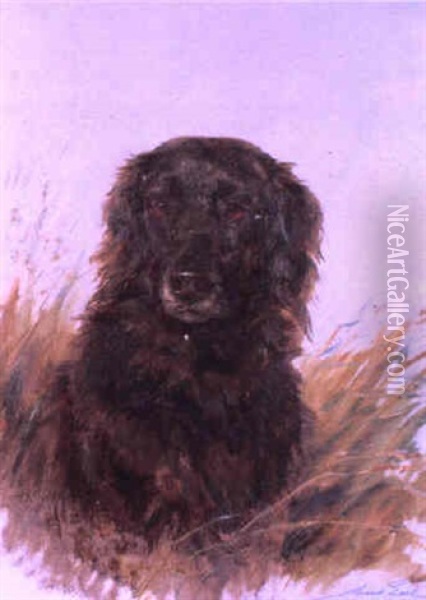 Portrait Of Ben, Flat Coat Retriever Oil Painting - Maud Earl