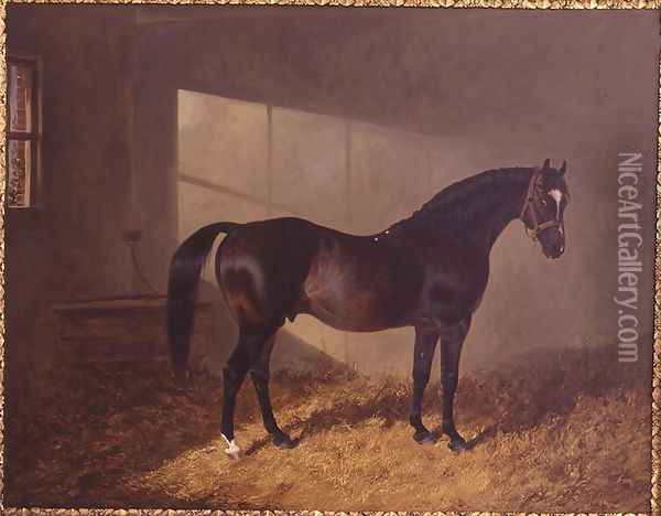 'Touchstone', 1844 Oil Painting - John Frederick Herring Snr