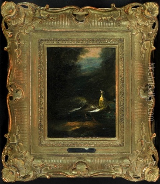 Goldfasan Im Wald Oil Painting - Philipp Ferdinand de Hamilton