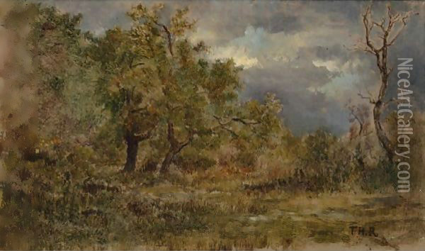 Clairiere En Foret De Fontainebleau Oil Painting - Theodore Rousseau