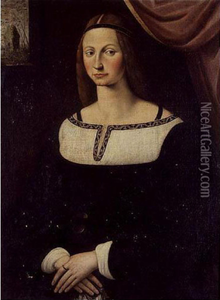 Portrait Of A Lady, Said To Be Costanza Fregosa Oil Painting - Antonio Da Rimpacta