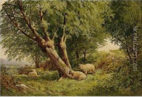 Sheep Grazing In Woodland Oil Painting - James Jackson Curnock