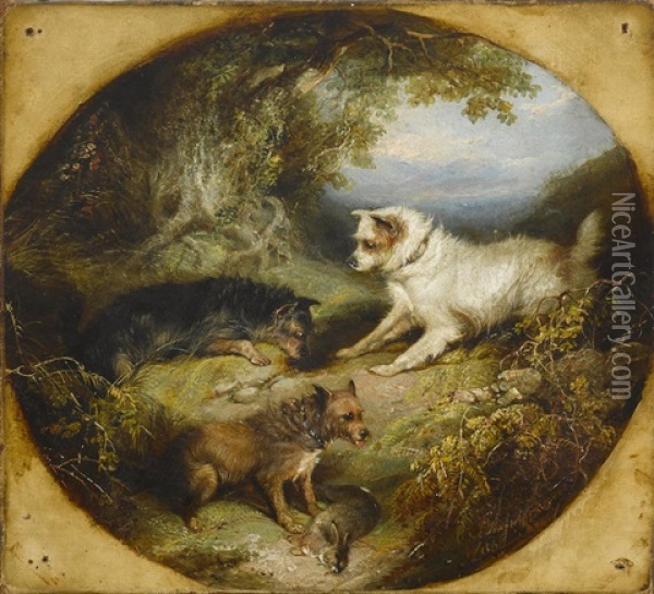Terriers By A Burrow Oil Painting - George Armfield