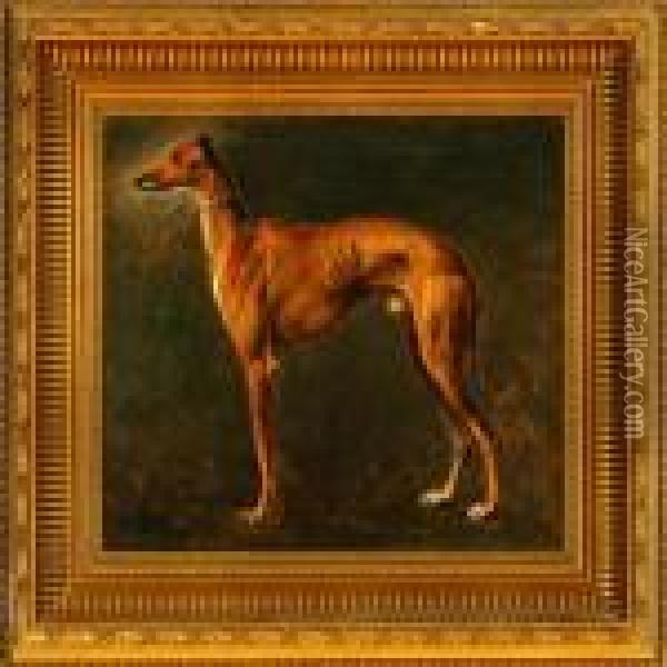 A Greyhound Oil Painting - Otto Bache