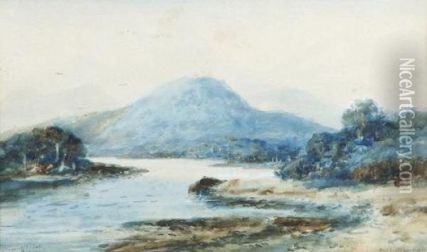 Glengarriff, Co. Cork Oil Painting - Alexander Williams