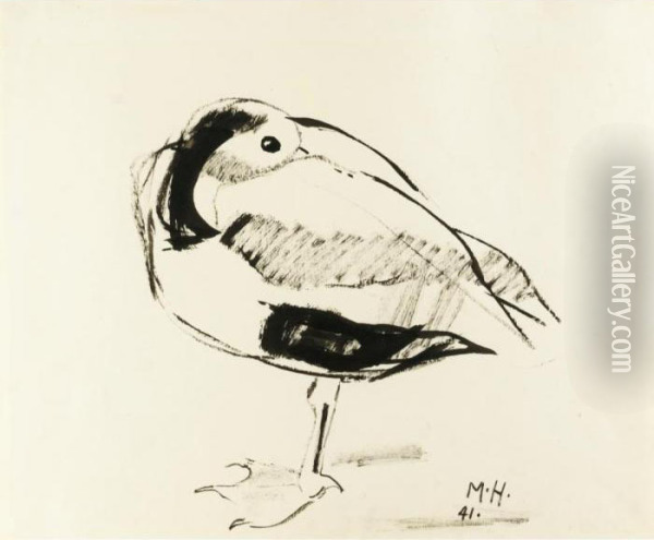 Bird Oil Painting - Marsden Hartley