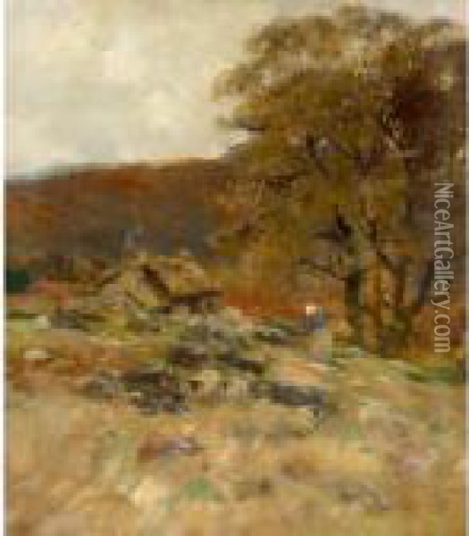 Autumn, West Highlands Oil Painting - David Fulton