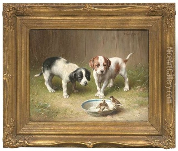 Zwei Junge Hunde Beobachten Finken An Einem Vogelbad Oil Painting - Carl Reichert