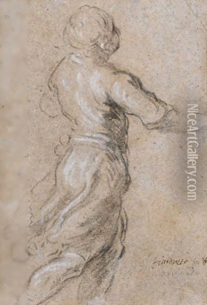 Figure Debout Oil Painting - Palma Vecchio (Jacopo Negretti)