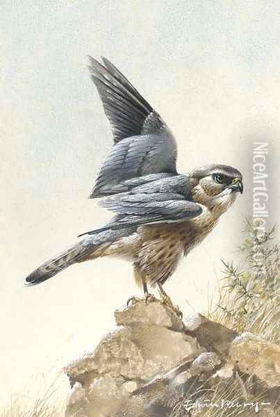 A merlin Oil Painting - Edward Penny
