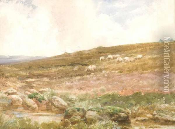 Sheep On The Hillside Oil Painting - Claude Hayes
