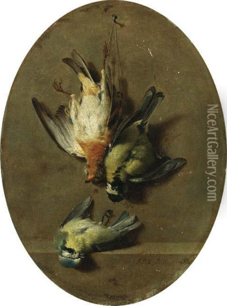 A Trompe L'oeil Of Dead Songbirds Oil Painting - Jean-Joseph-Xavier Bidauld