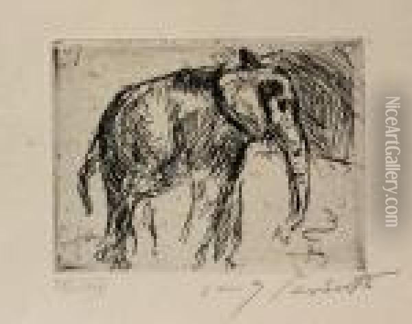 Stehender Elefant Oil Painting - Lovis (Franz Heinrich Louis) Corinth