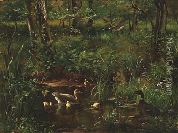 Forest Lake With Ducks Oil Painting - Olaf August Hermansen