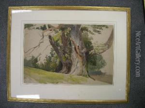 The Old Oak Tree Oil Painting - David Hall McKewan