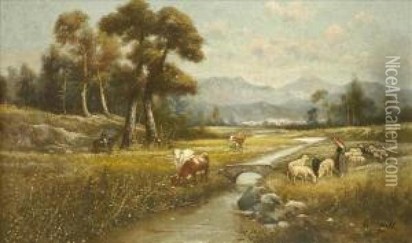 Summer Landscapes Oil Painting - M. Zampella