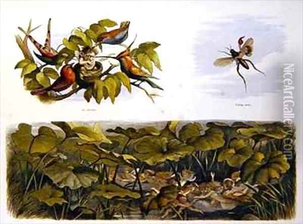 In Fairy Land 5 Oil Painting - Richard Doyle