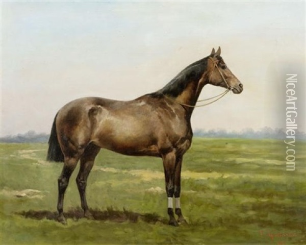Pferd Auf Der Wiese Oil Painting - Thaddaus von Ajdukiewicz