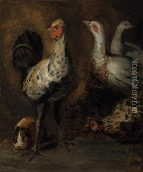 A Rooster, Three Chickens, And A Guinea Pig Oil Painting - Theodore Gericault