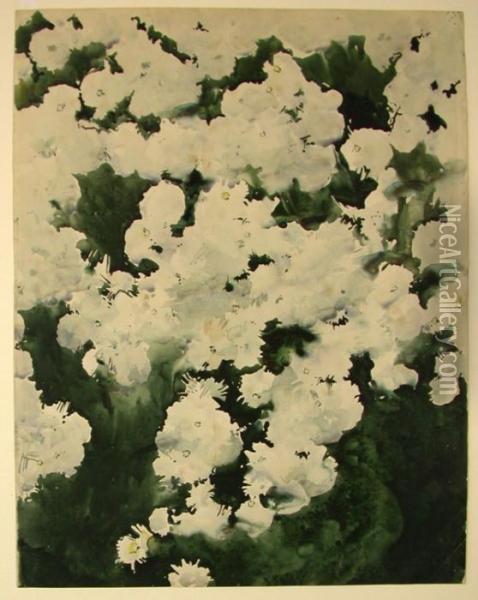 Weisse Blumen Auf Grunem Grund Oil Painting - Augusto Giacometti