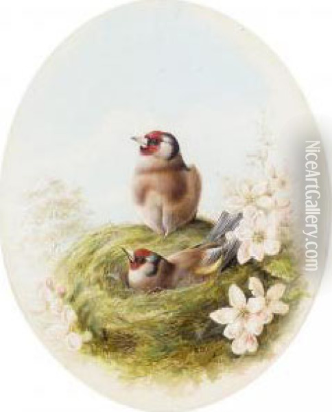 Goldfinches Oil Painting - Harry Bright