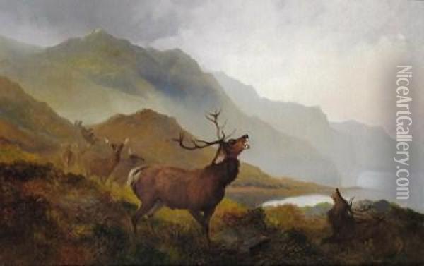 Deer In The Highlands Oil Painting - J. H. Gibb