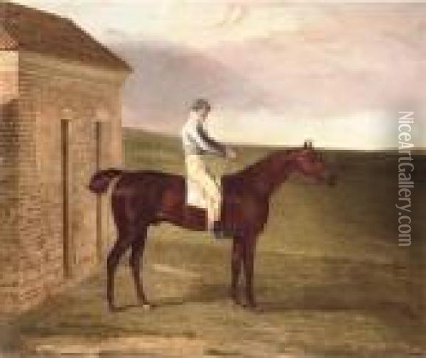 Burleigh, A Chestnut Racehorse, With Sam Chifney Up, Atnewmarket Oil Painting - Benjamin Marshall
