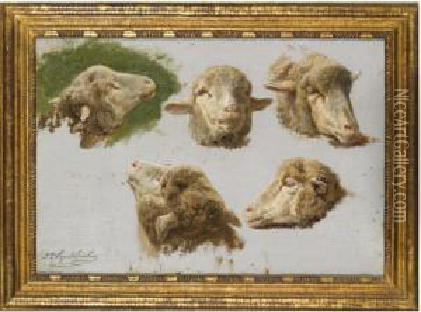 Studies Of Sheep Heads Oil Painting - Juliette Peyrol Bonheur