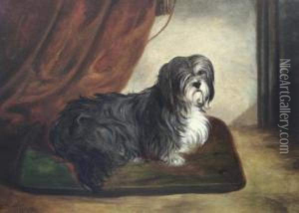 Portrait Of A Terrier Seated Upon A Cushion Oil Painting - John Arnold Wheeler