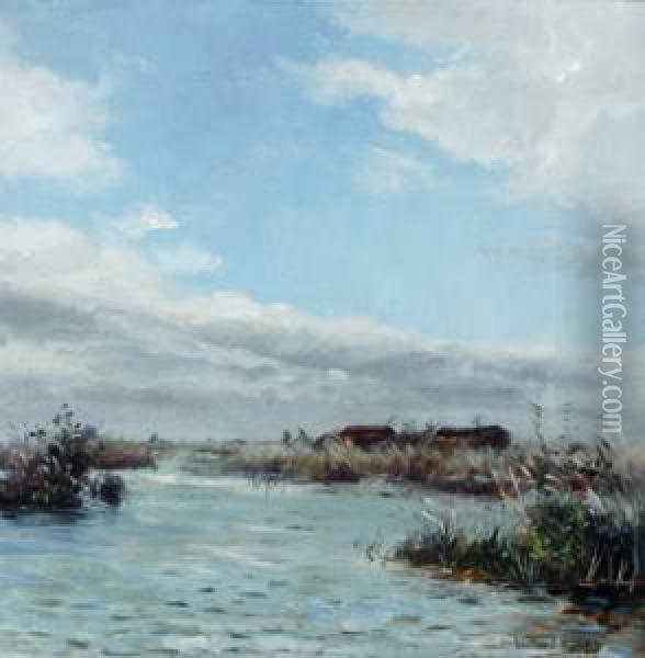 View Of Water And Reeds Oil Painting - Willem Roelofs
